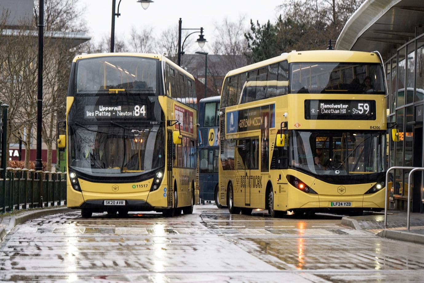 2 yellow buses 