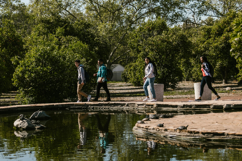 students-walking students on a walk beside a pond